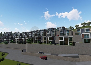 Wonderful Life in a Peninsula with Unique Nature