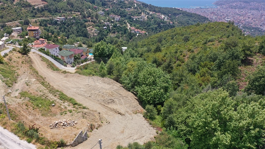 Luxury villas in the Center of Alanya