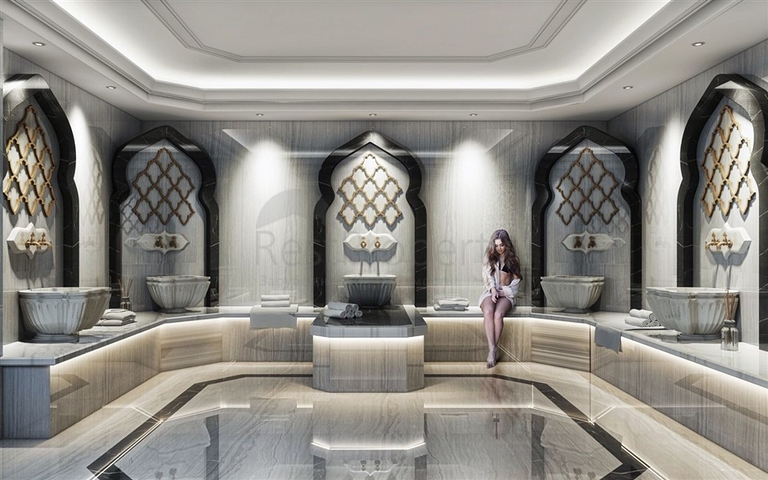 Investment project apartments and penthouses in Demirtas district