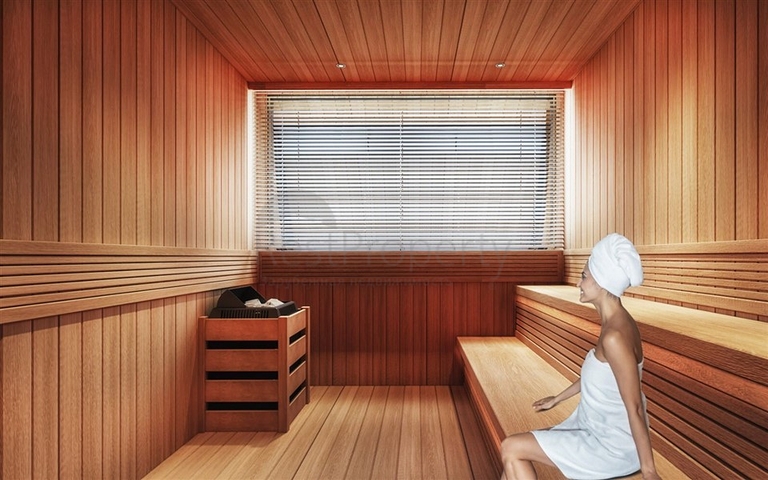 Investment project apartments and penthouses in Demirtas district