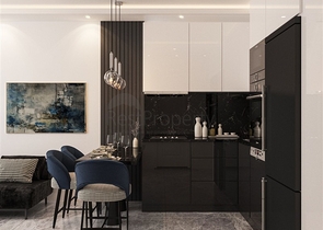 Investment project apartments and penthouses in Demirtas district