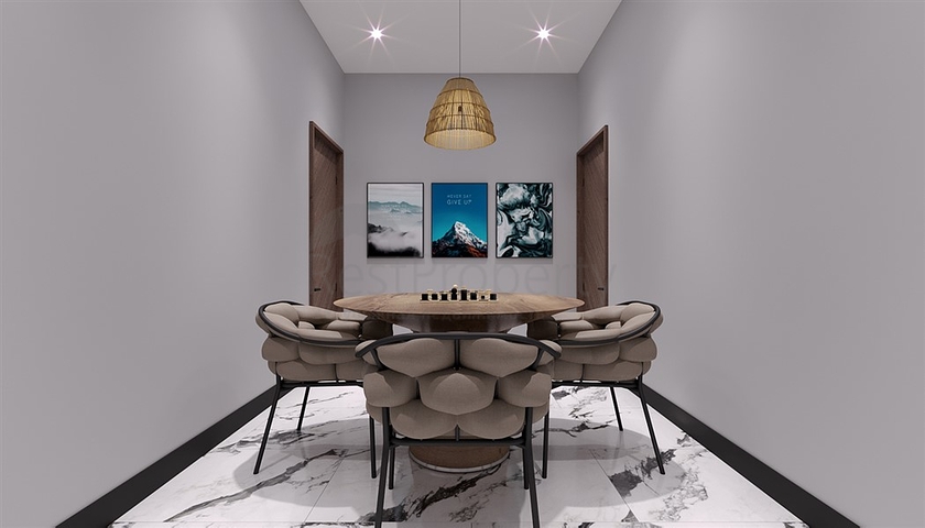 Luxury villas in Demirtas area