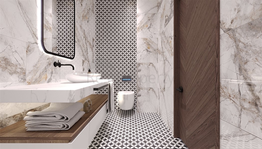 Luxury villas in Demirtas area