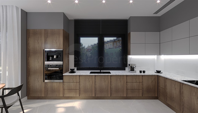 Luxury villas in Demirtas area