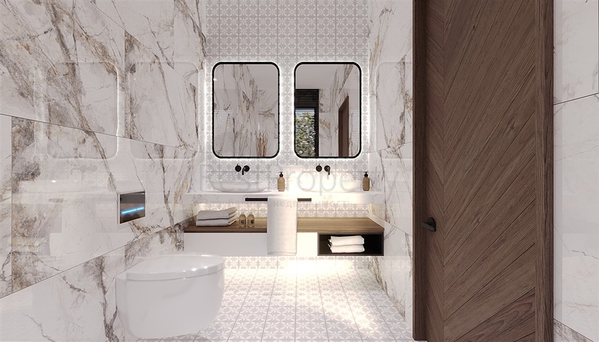 Luxury villas in Demirtas area