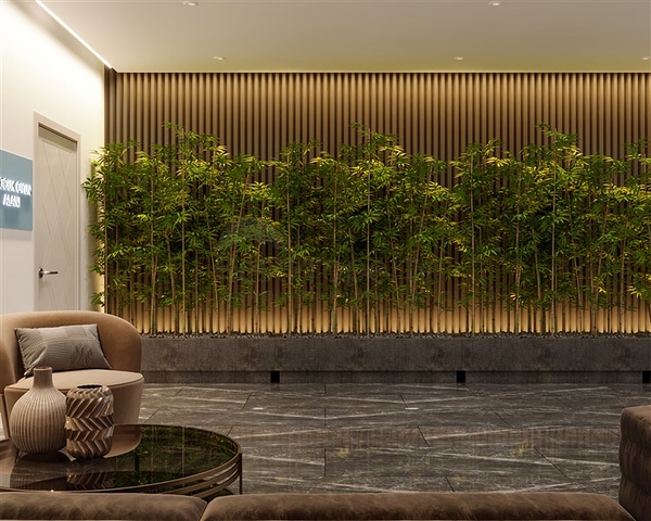 A new project in the Demirtas area