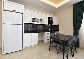 1+1 apartment for rent 