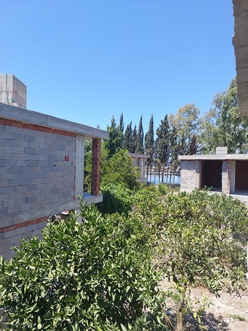 Attractive villas surrounded by lush nature