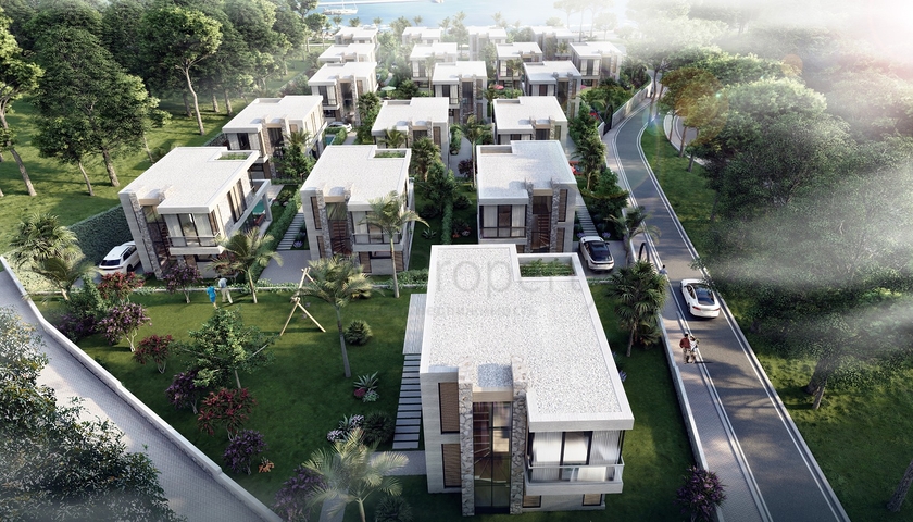 Attractive villas surrounded by lush nature