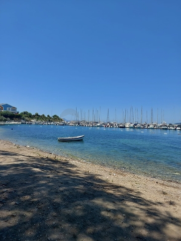 Attractive villas surrounded by lush nature