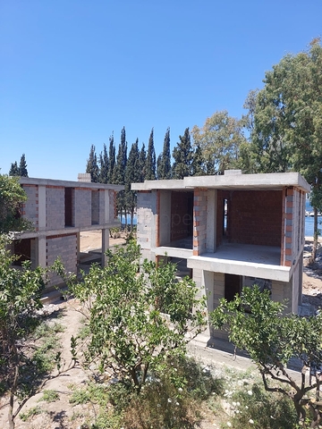 Attractive villas surrounded by lush nature