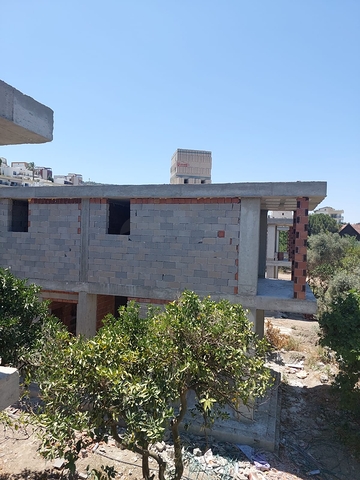 Attractive villas surrounded by lush nature