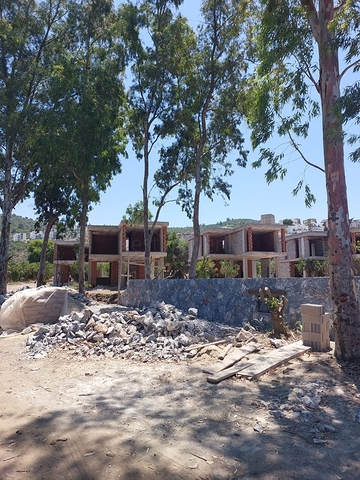 Attractive villas surrounded by lush nature