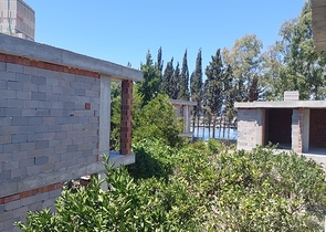 Attractive villas surrounded by lush nature