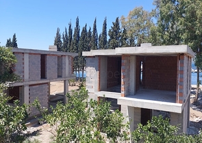 Attractive villas surrounded by lush nature