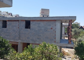 Attractive villas surrounded by lush nature