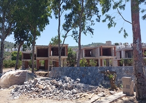 Attractive villas surrounded by lush nature