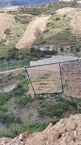 A plot of land for the construction of a villa  A plot of land for the construction of a villa