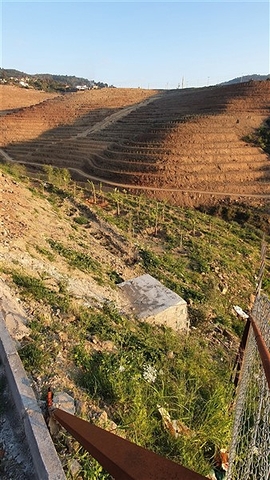 A plot of land for the construction of a villa  A plot of land for the construction of a villa