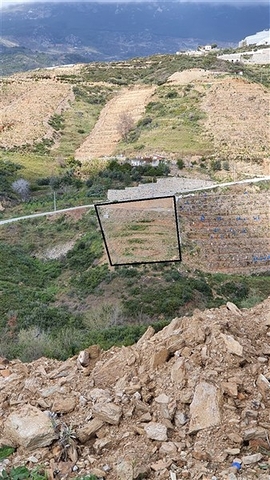 A plot of land for the construction of a villa  A plot of land for the construction of a villa
