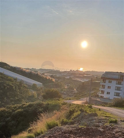 A plot of land for the construction of a villa  A plot of land for the construction of a villa