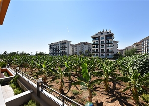 Beach Front complex - 2 bedroom apt - in Kestel / Alanya 