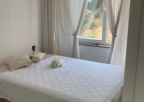 Furnished 1+1 apartment in the new Avsallara complex