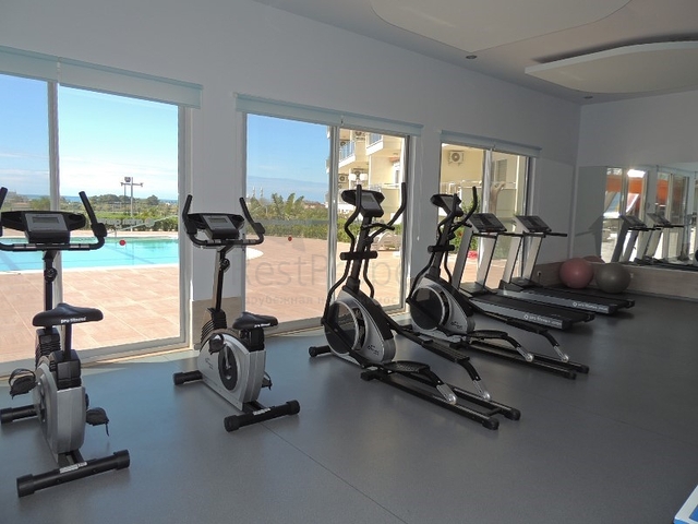 2+1 apartments in Avsallar district