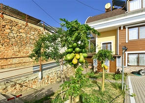 Spacious 11+2 villa with private plot and panoramic sea views