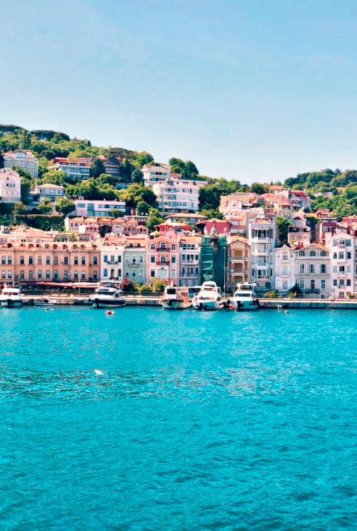 International company RestProperty International company RestProperty